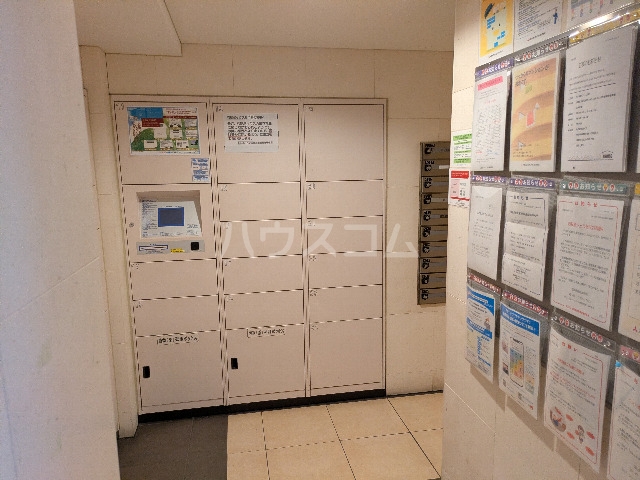 20/30 その他画像