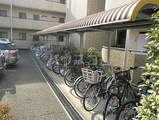 11/20 その他画像