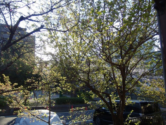 16/28 その他画像