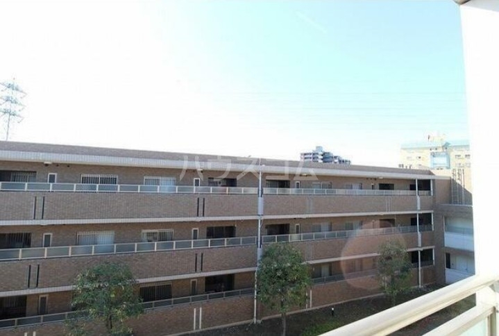 15/17 その他画像