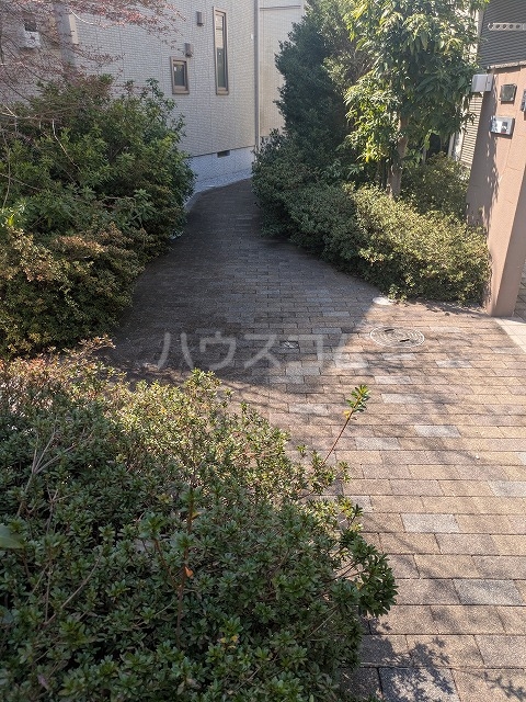 3/14 その他画像