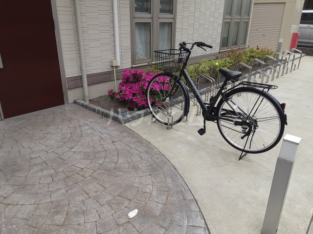 5/17 その他画像