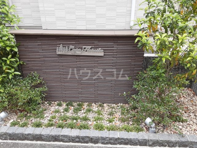 6/17 その他画像