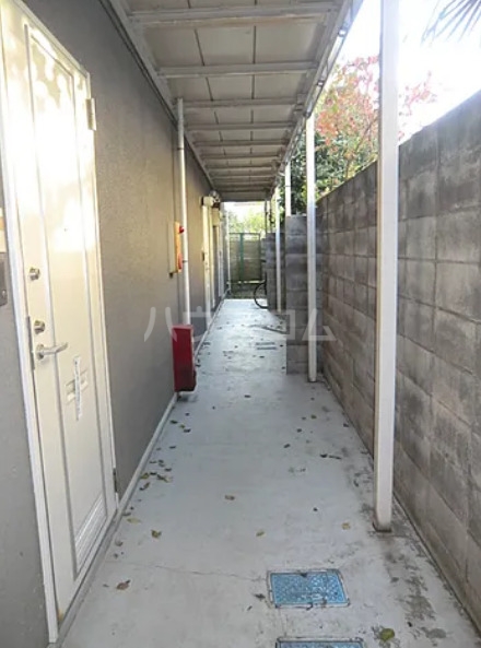 8/20 その他画像