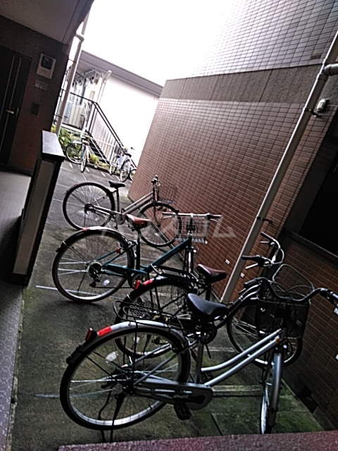 8/20 その他画像