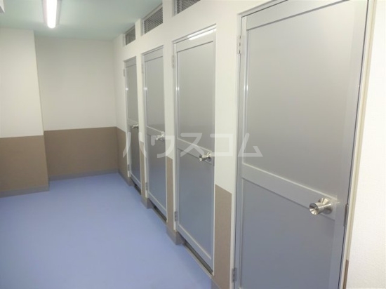 11/20 その他画像