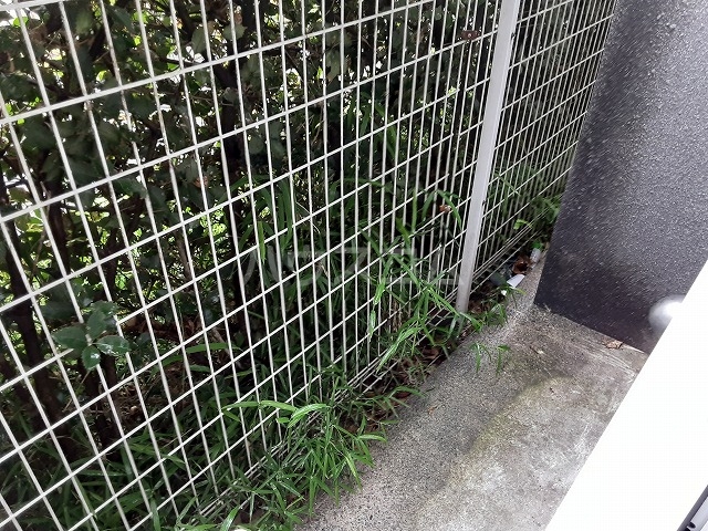 19/30 バルコニー