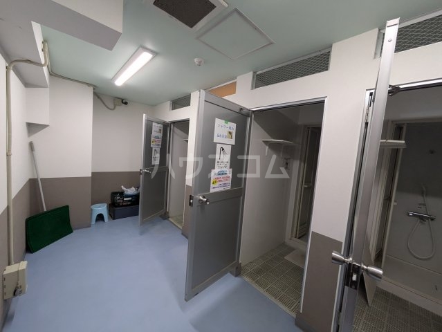 20/30 その他画像