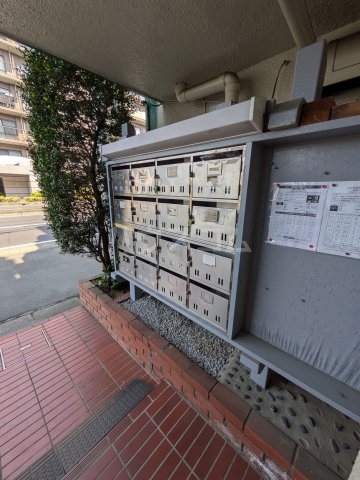 19/21 その他画像