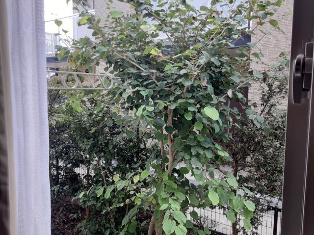 21/30 その他画像