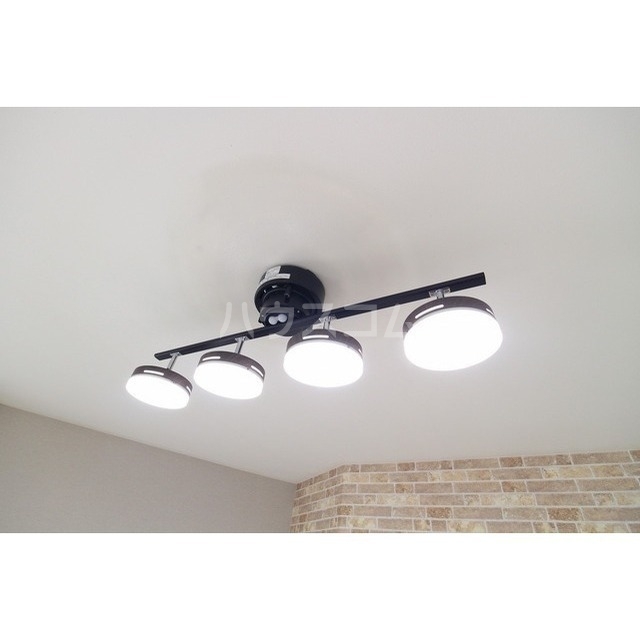 19/29 その他画像