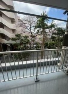 12/16 その他画像