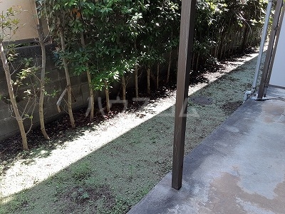 17/29 バルコニー