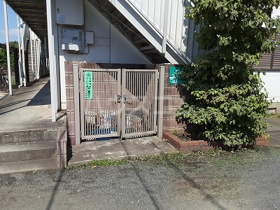 21/29 その他画像