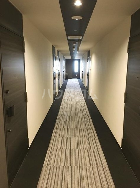 15/19 その他画像