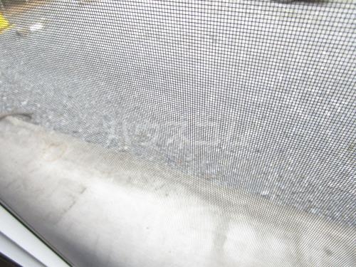 17/23 その他画像