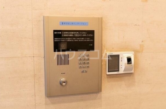 8/17 その他画像