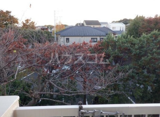 13/22 その他画像