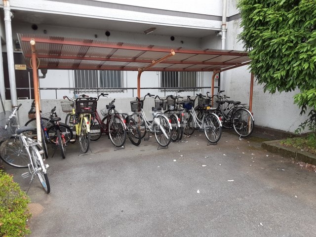 20/30 その他画像