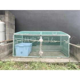 12/20 その他画像