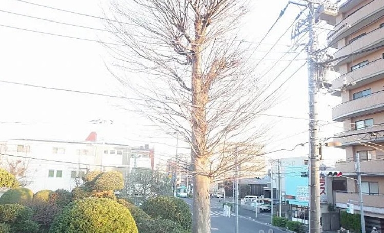 11/23 その他画像