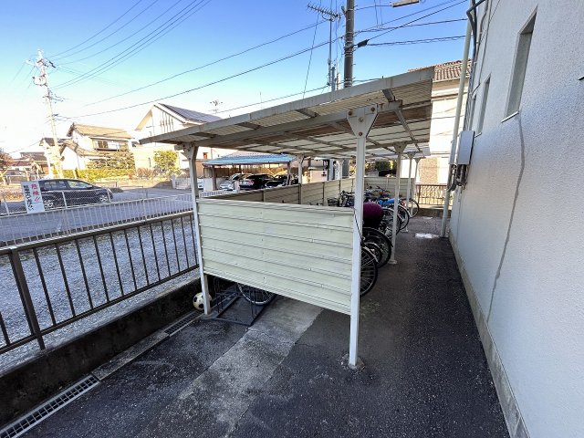 3/16 その他画像