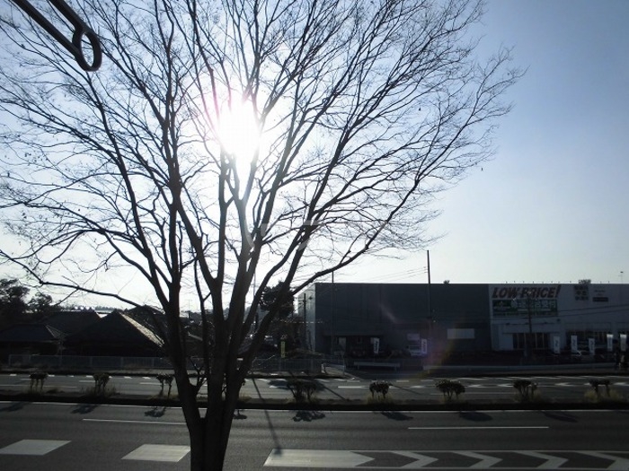 12/23 その他画像