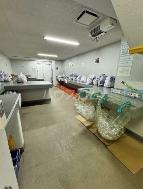 13/16 その他画像