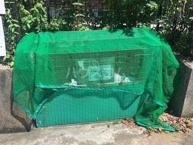 16/19 その他画像