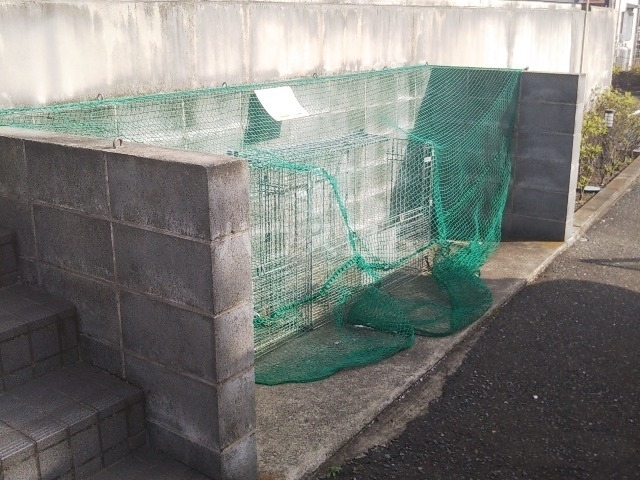 11/20 その他画像