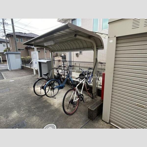 11/25 その他画像