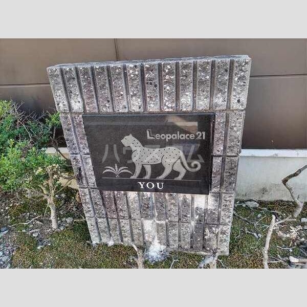 11/21 その他画像