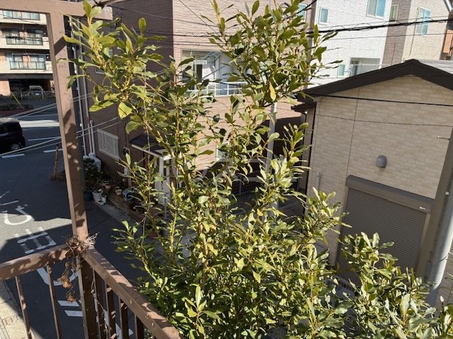 26/30 その他画像