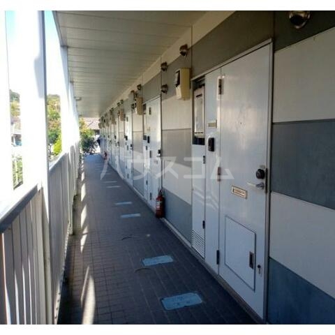 5/19 その他画像