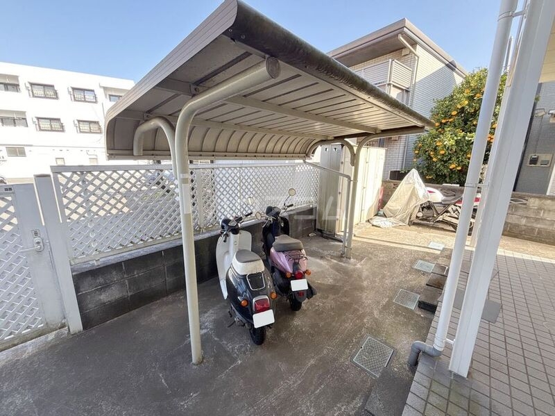 11/19 その他画像