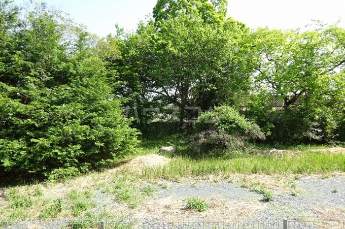 13/20 その他画像