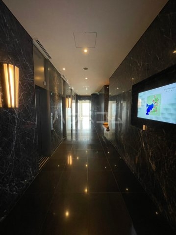 3/16 その他画像