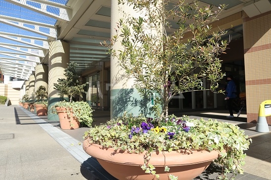 15/26 その他画像