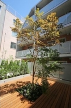 8/18 その他画像