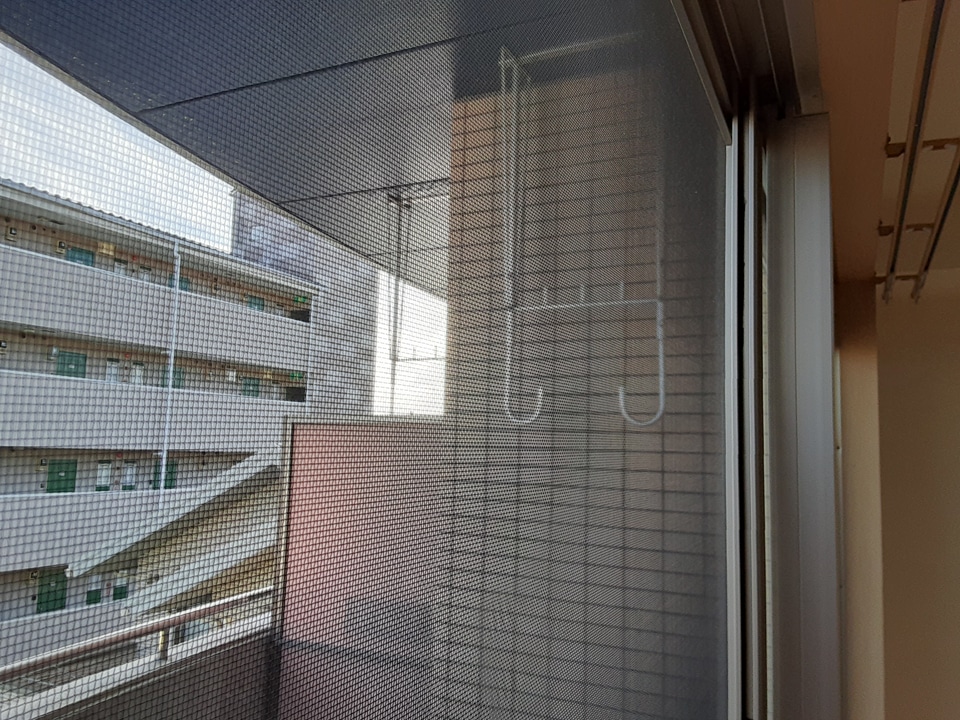 29/29 その他画像