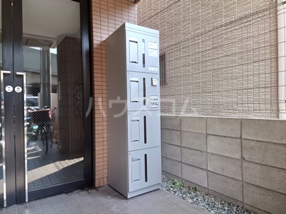 20/30 その他画像