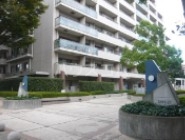 7/15 その他画像