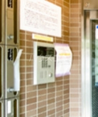 11/15 その他画像