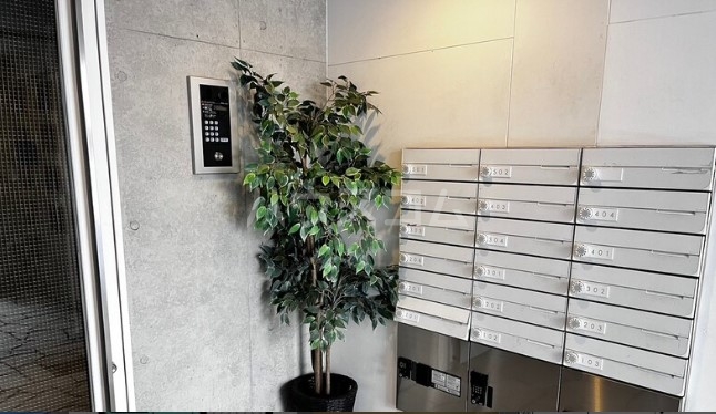 5/15 その他画像