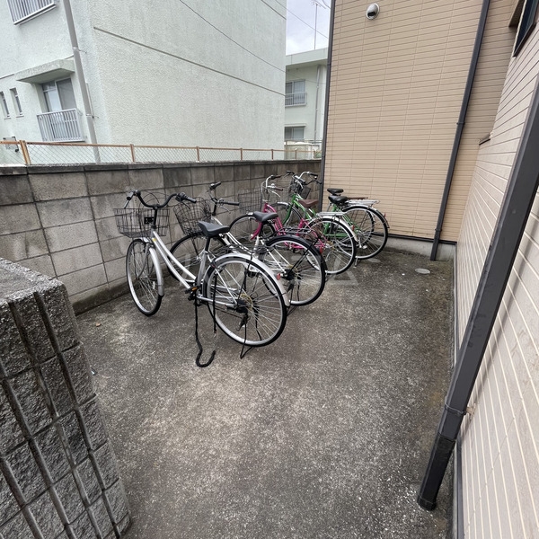 16/19 その他画像