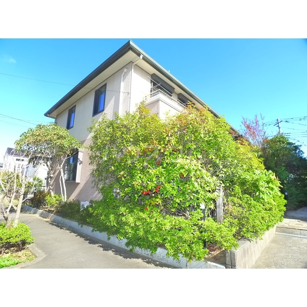 21/30 その他画像