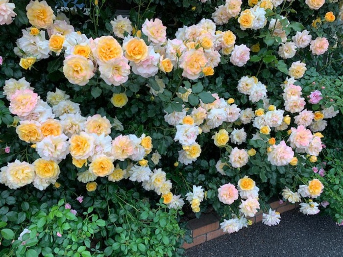 18/27 その他画像