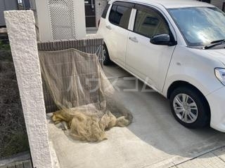 8/12 その他画像