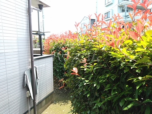 20/23 その他画像