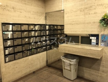 15/29 その他画像